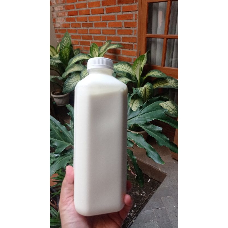 

GRIGOYOGHURT