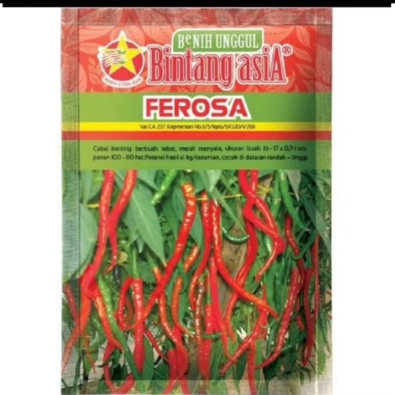 BIBIT CABAI FEROSA/BIBIT CABAI UNGGUL