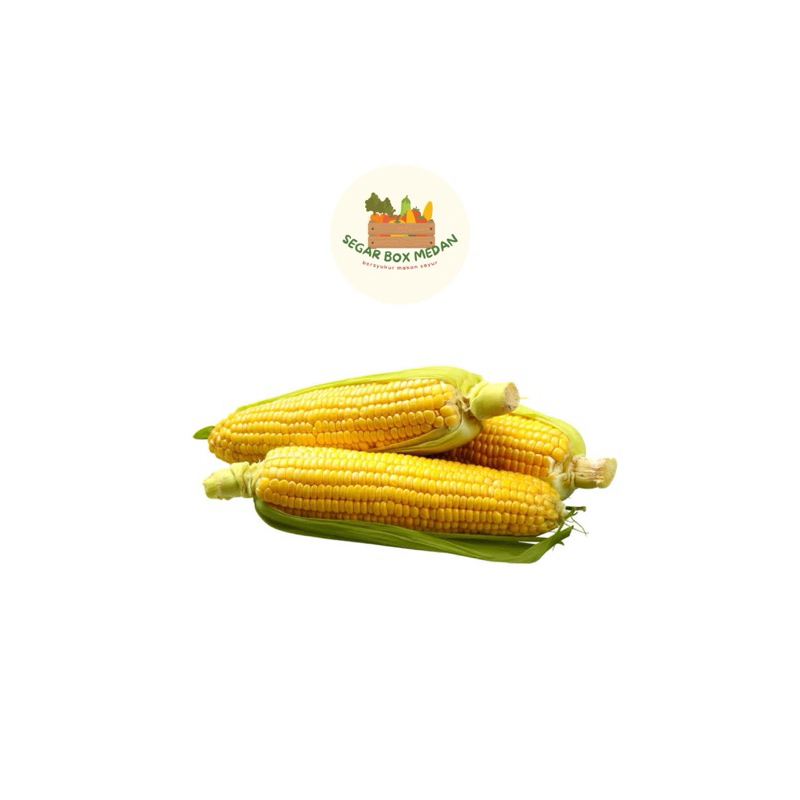 

JAGUNG KWALITAS SANGAT OKE 500 gr - 1 kg