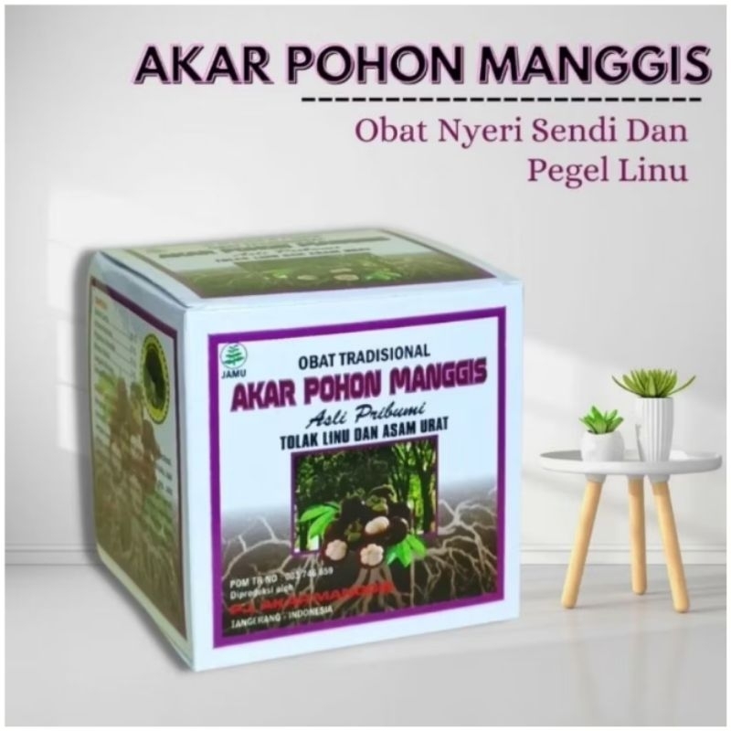 

AKAR POHON MANGGIS 100%ASLI ORIGINAL MENGATASI NYERI SENDI &PEGEL LINU