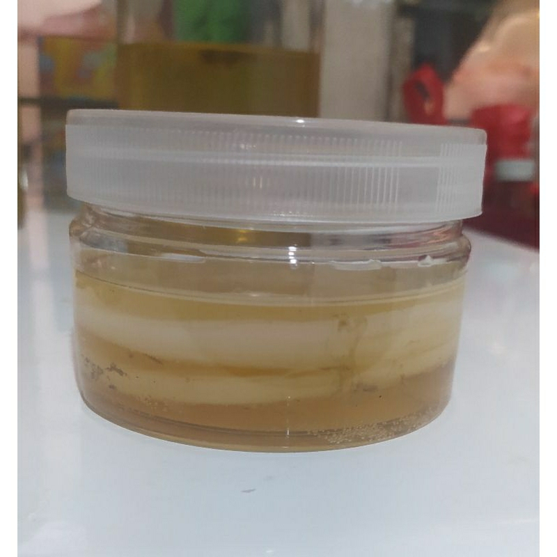 

Starter kombucha with scooby