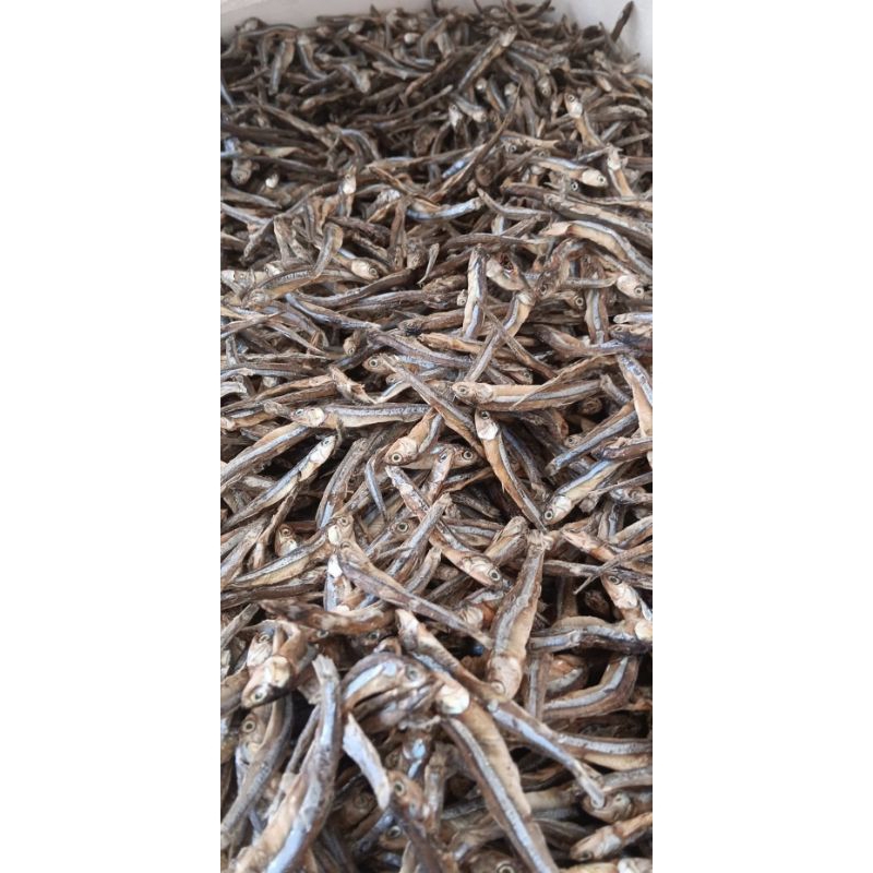 

Ikan Kering / Ikan Asin Lure Besar