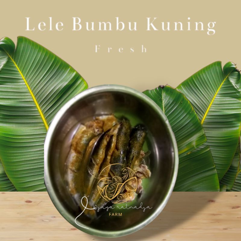 

Lele Bumbu Kuning Fresh