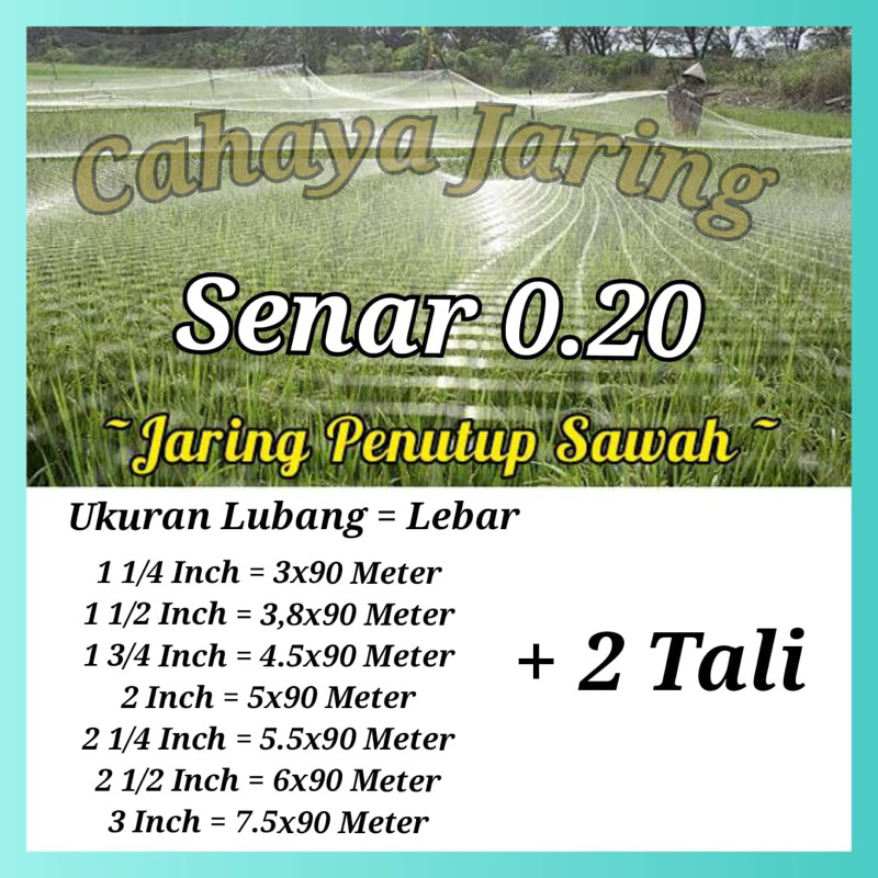 jaring padi sawah senar 0.20 / jaring burung pipit dan emprit / jaring penutup sawah