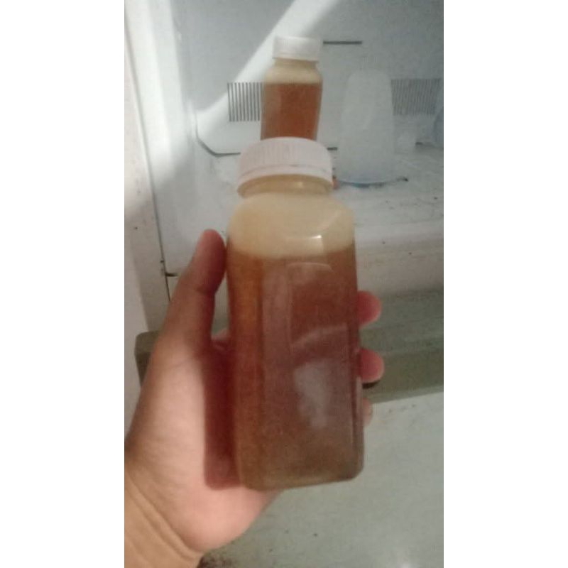 

madu hutan sumbawa