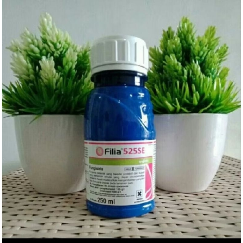 Filia 250 ml