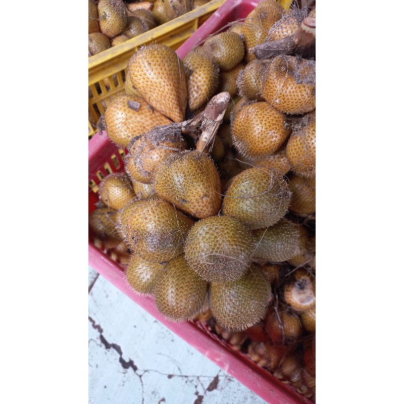 

Salak Gading 1kg
