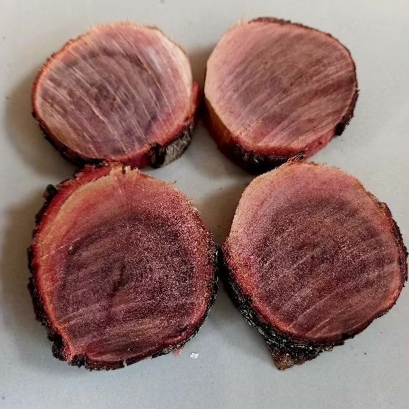 bahan lempengan kayu galih stigi/setigi