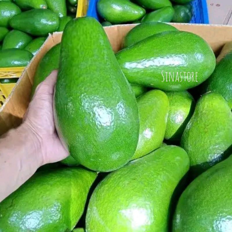 

Alpukat Pluwang Fresh 1kg