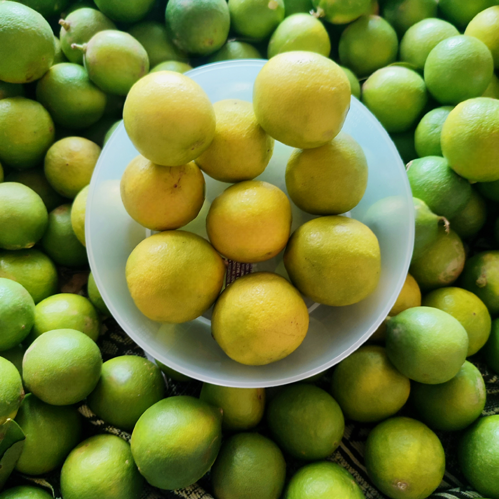 

JERUK NIPIS KUNING SEGAR 1KG MATANG POHON