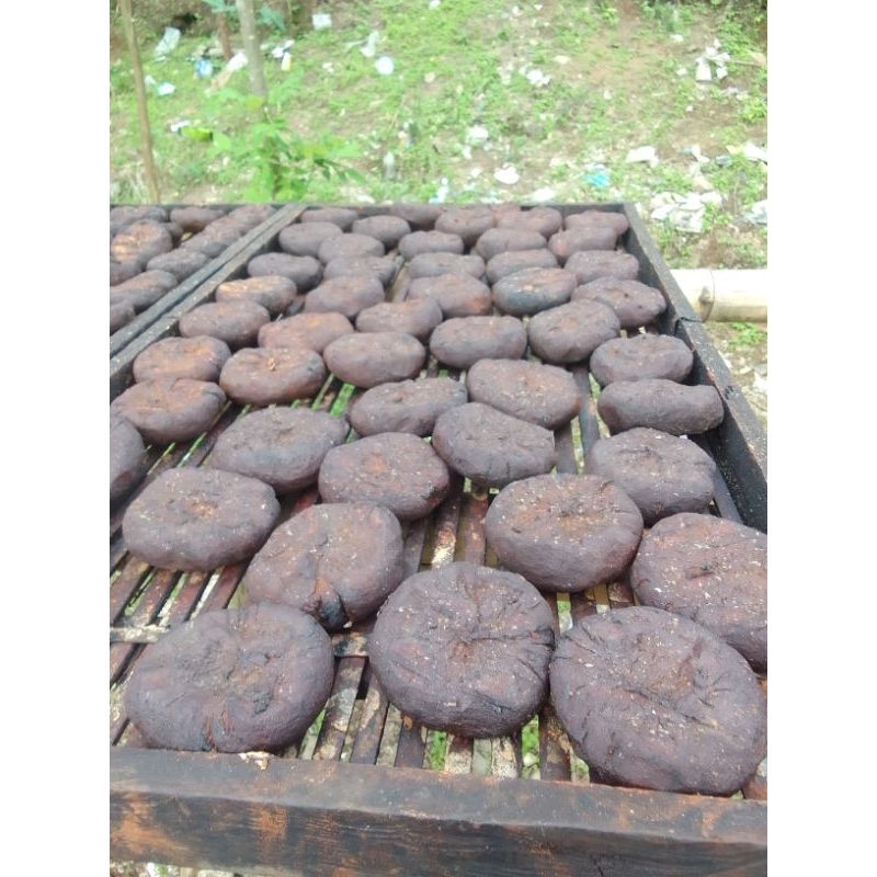 

gambir murni super besar