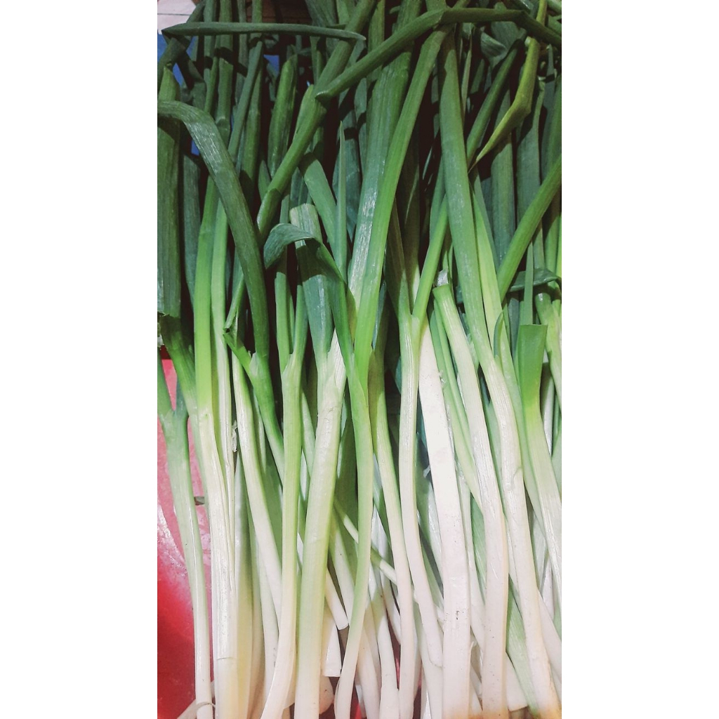 

Daun Bawang