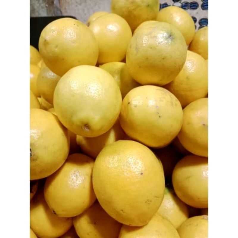 

jeruk lemon fresh import 1kg