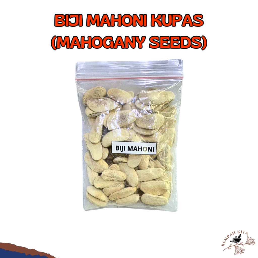 

Biji Mahoni Mahogani Kupas Kering Bersih Kualitas Super Premium 50Gr