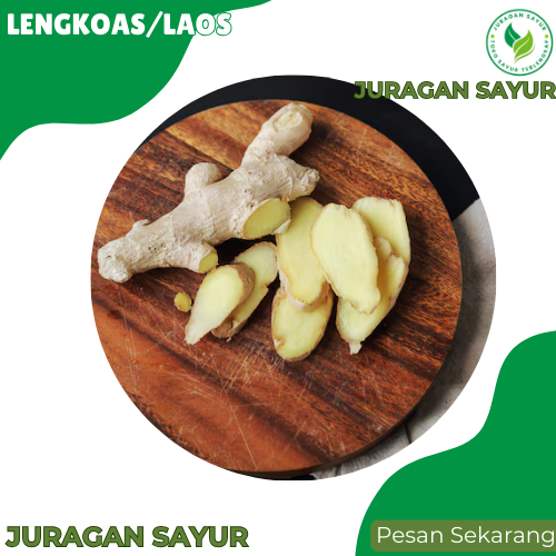 

Lengkuas / Laos Segar Premium dan Fresh - Juragan Sayur