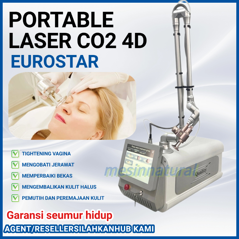 Portable Laser CO2 fractional 4D Penghilang Stretch Mark Laser wajah Penghilang bekas jerawat/Vagina