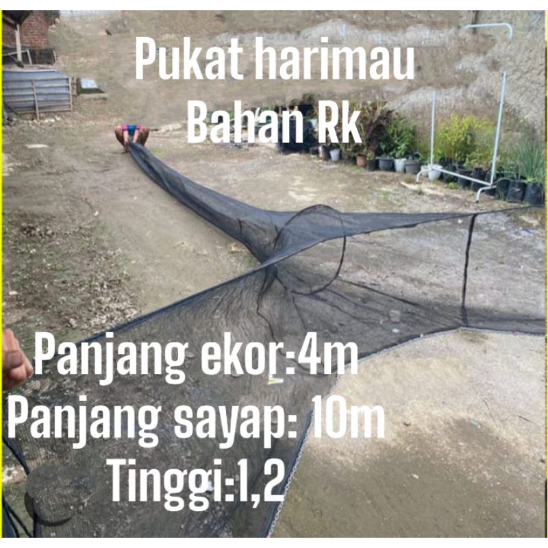 pukat harimau waring Rk,jaring penangkap ikan
