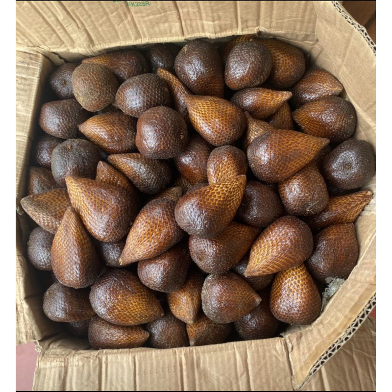 

salak pondoh asli Sleman manis grosir 5kg,7kg,10kg,15kg