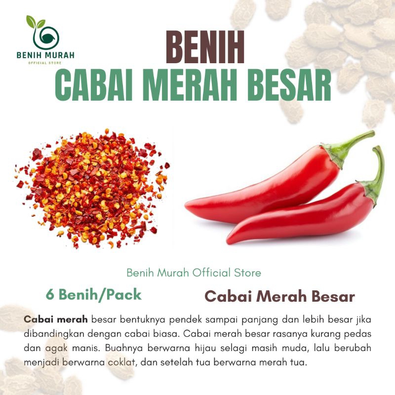 

CABAI MERAH BESAR