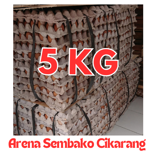 

(INSTANT ONLY) PROMOO TELUR AYAM NEGERI MURAH 5 KG ARENA SEMBAKO CIKARANG