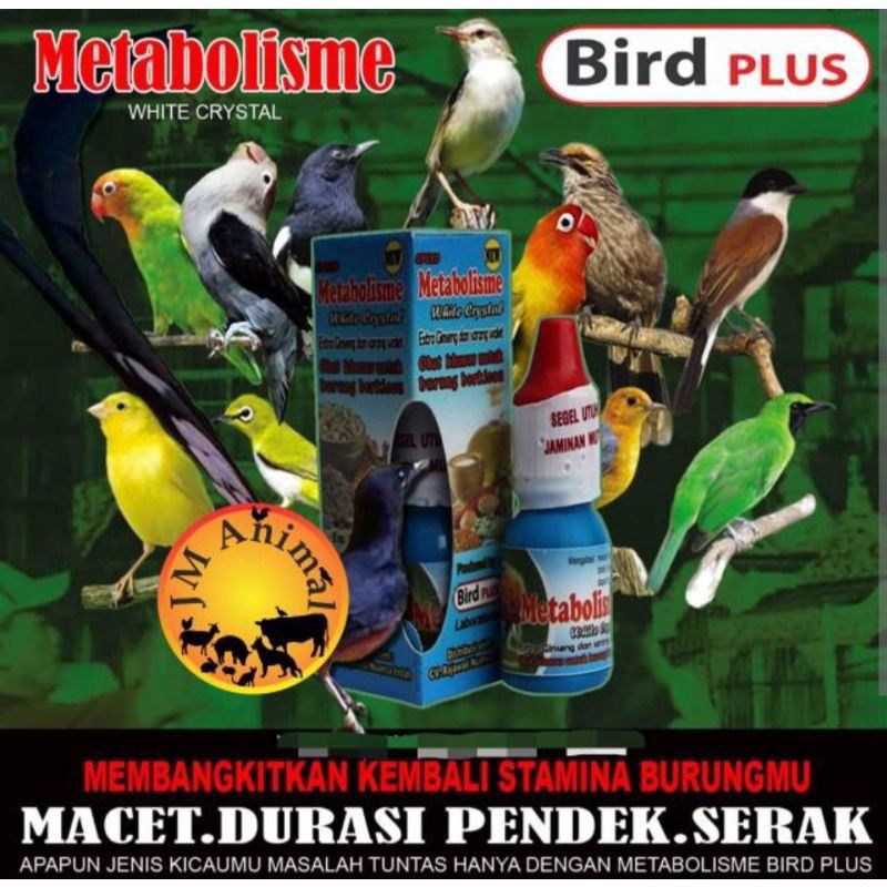 METABOLISME WHITE CRYSTAL EXTRA GINSENG DAN SARANG WALET PENGGACOR BURUNG KICAU