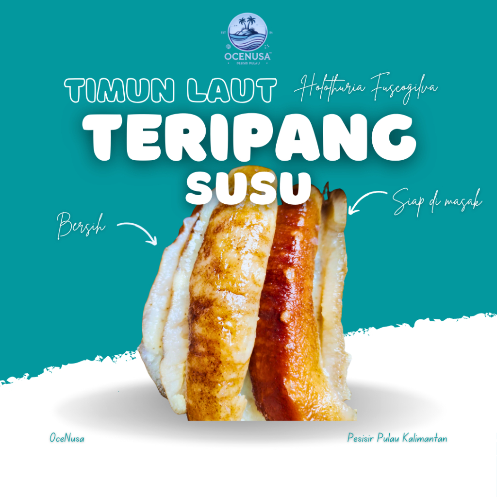 

Teripang Susu 500gr/1kg