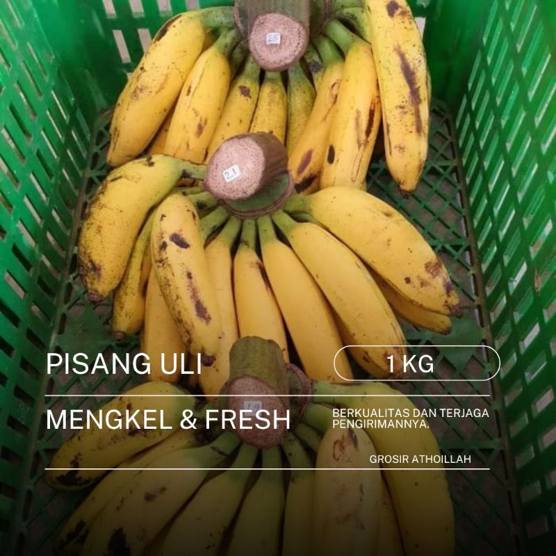 

Pisang Uli Mengkel & Fresh 1 KG