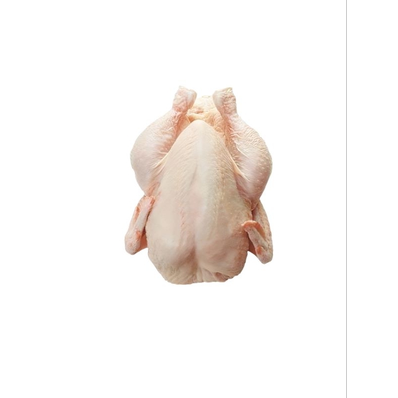

AYAM UTUH SEDANG FRESH 1,1Kg - 1,2Kg