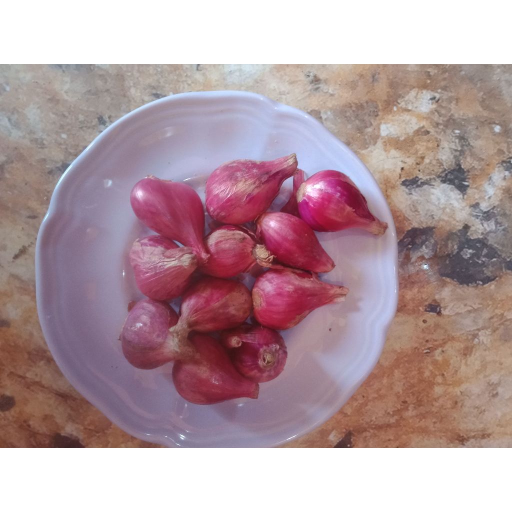 

RB bawang merah brebes 500 gram