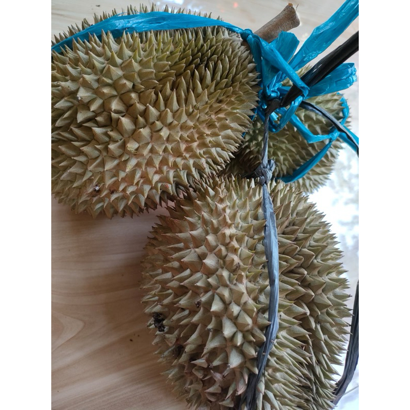

DUREN ASLI PARUNG MANIS PWOOL HARGA PER1 YA