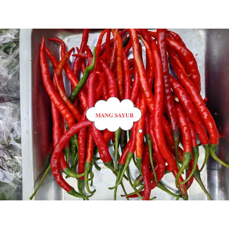 

cabai keriting merah 100gr mang sayur