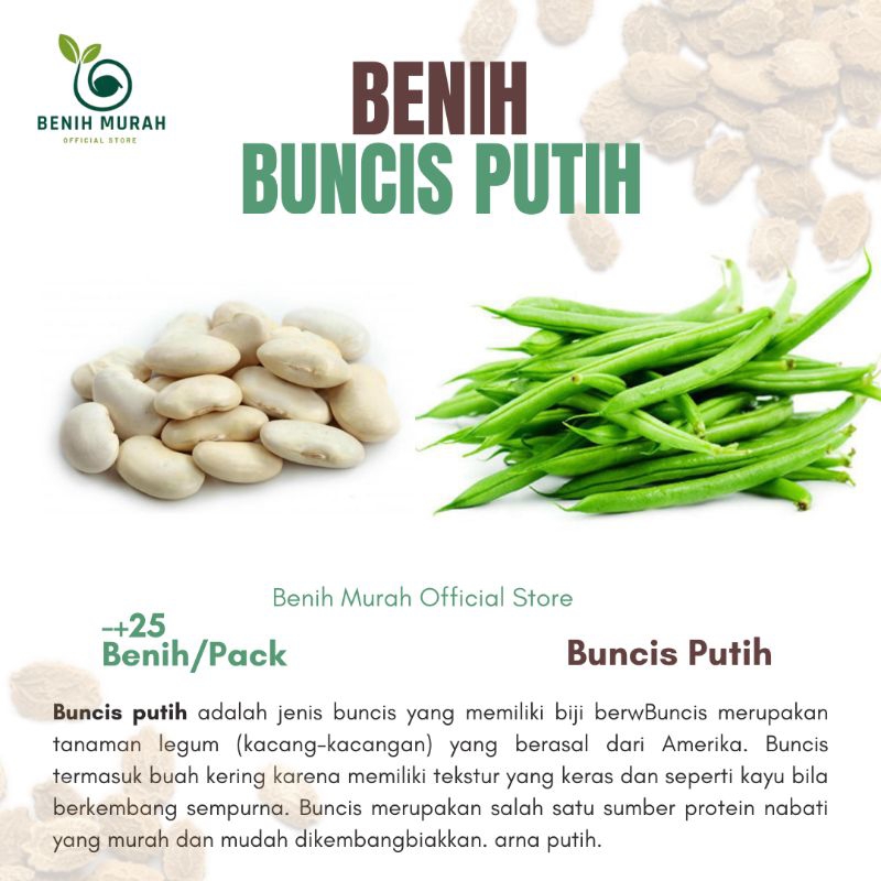 

BENIH BUNCIS PUTIH