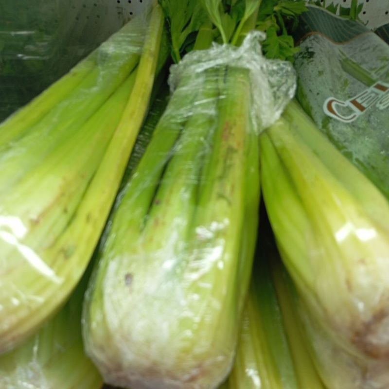 

CELERY STICK IMPORT SEGAR 500GRAM