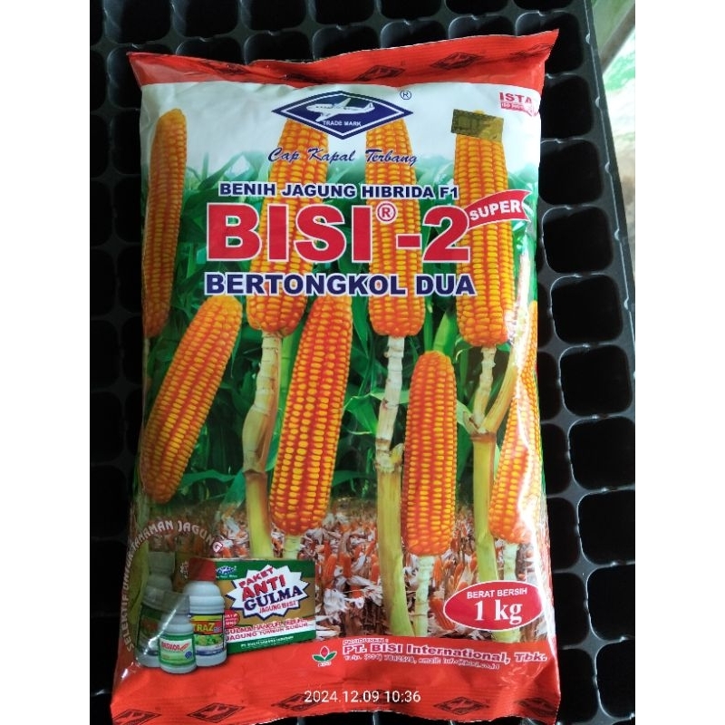 BENIH JAGUNG BISI-2 1 KG
