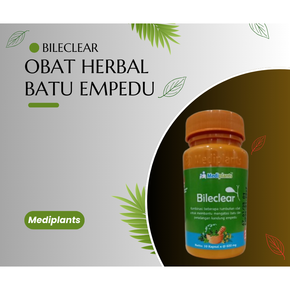 Obat Herbal Atasi Radang & Batu Empedu, Mediplants Bileclear Membantu Mengatasi Radang Batu Empedu