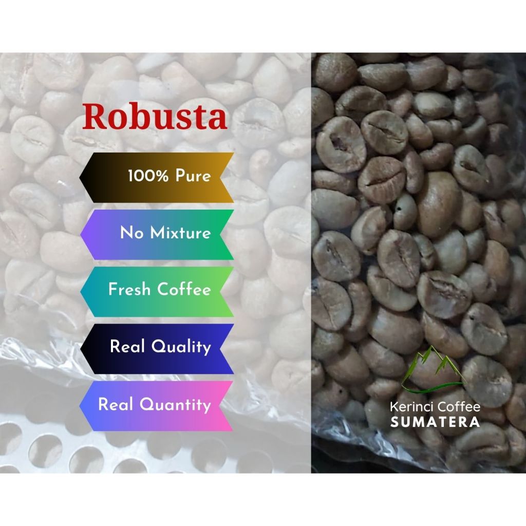 

Kopi Kerinci Robusta Home Family Green Bean 1 Kg - 100 % Murni - Kerinci Regency - Jambi - Eceran