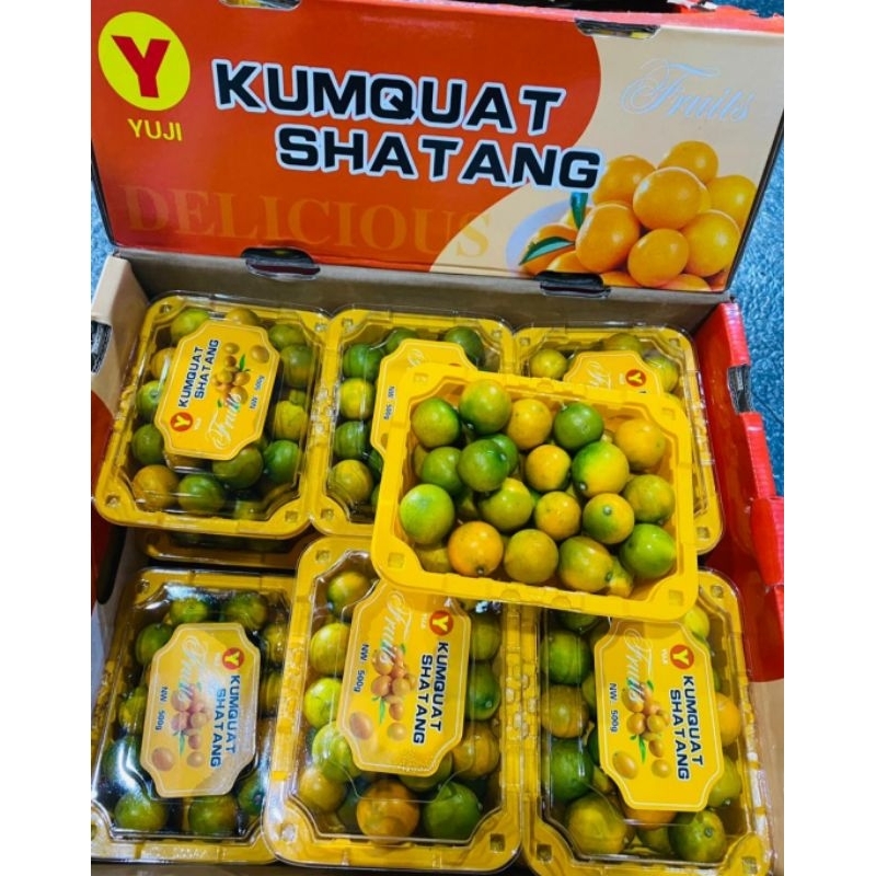 

Jeruk Kimkit / Jeruk Kum quat pack kemasan Pack