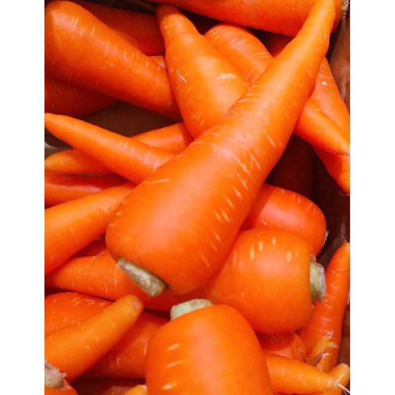 

wortel import fresh - sayur fresh
