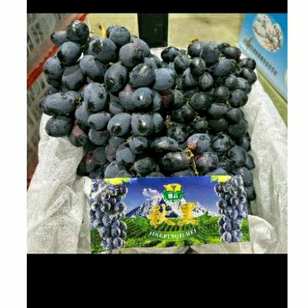 

Anggur Autumn Royal Jumbo