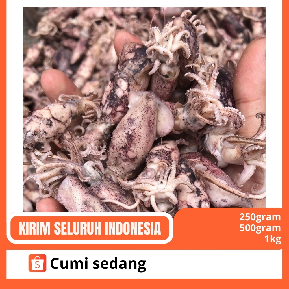 

cumi sedang murah berkualitas