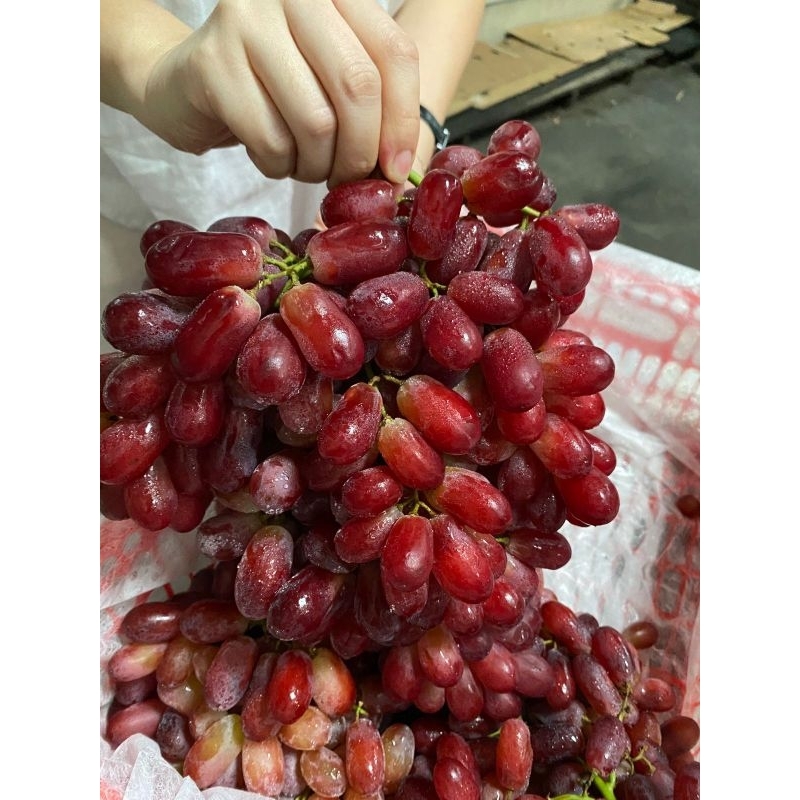 

Anggur Merah Seedless