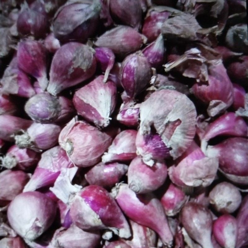 Brambang merah