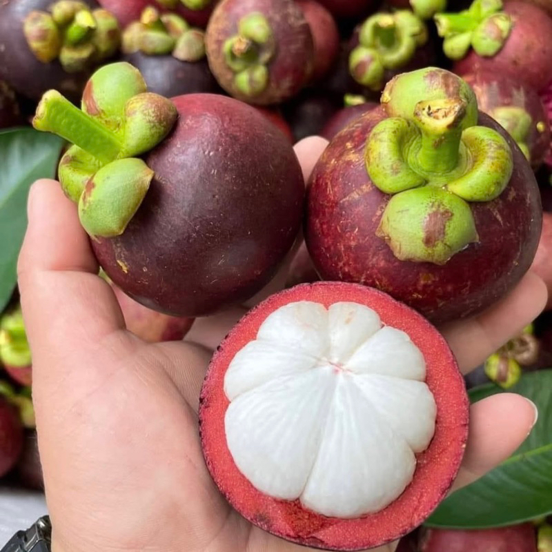 

Manggis Fresh Super 1kg