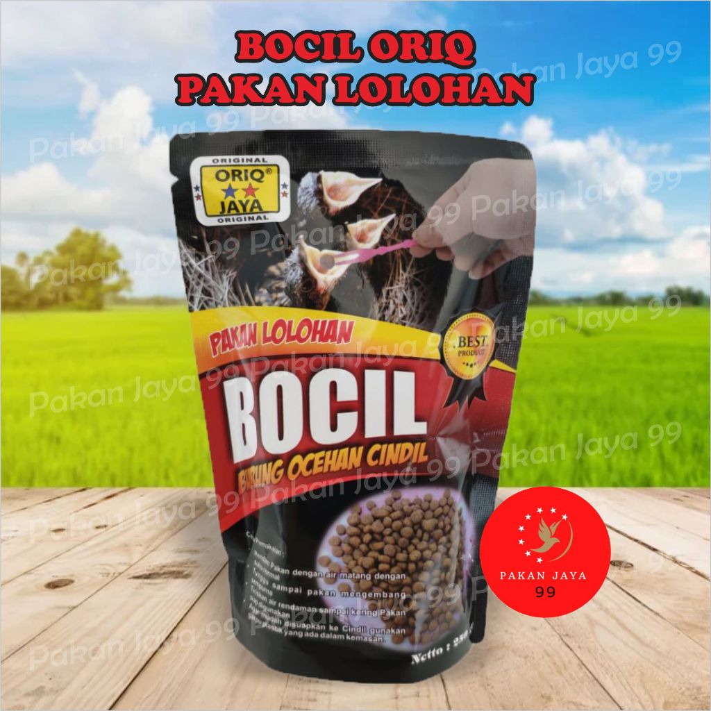 READY BOCIL ORIQ PAKAN LOLOHN MAKANN ANAKAN BURUNG CINDIL LOLOH PIYIK TROTOL BRUNG MURAI KACER PLECI