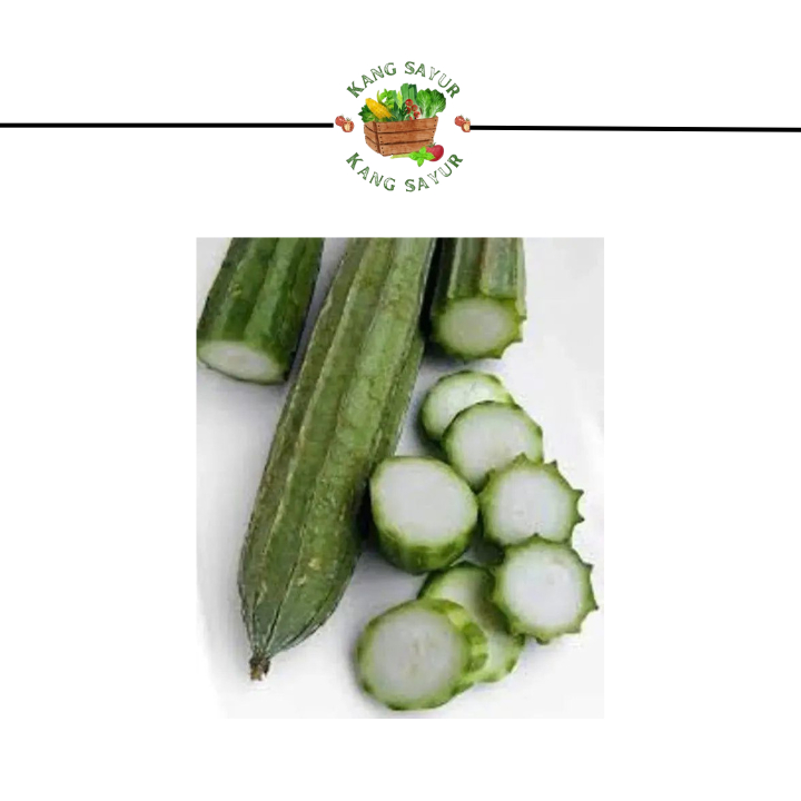 

Gambas Sayur Gambas / Okra 500gr Murah / Kang Sayur