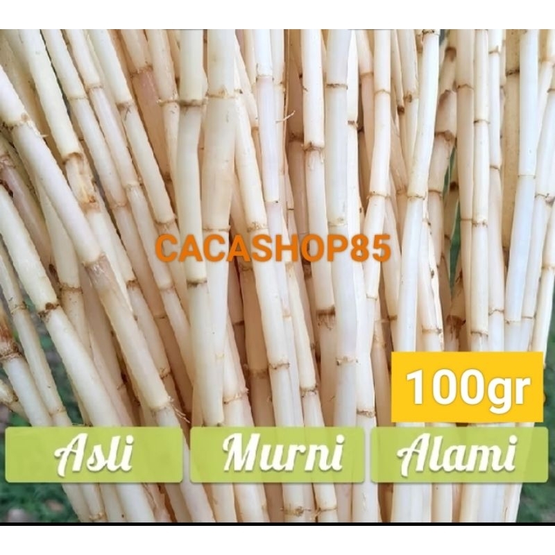 

Akar Alang Alang Segar 100gr