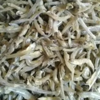 

Ikan Teri Medan 100gr