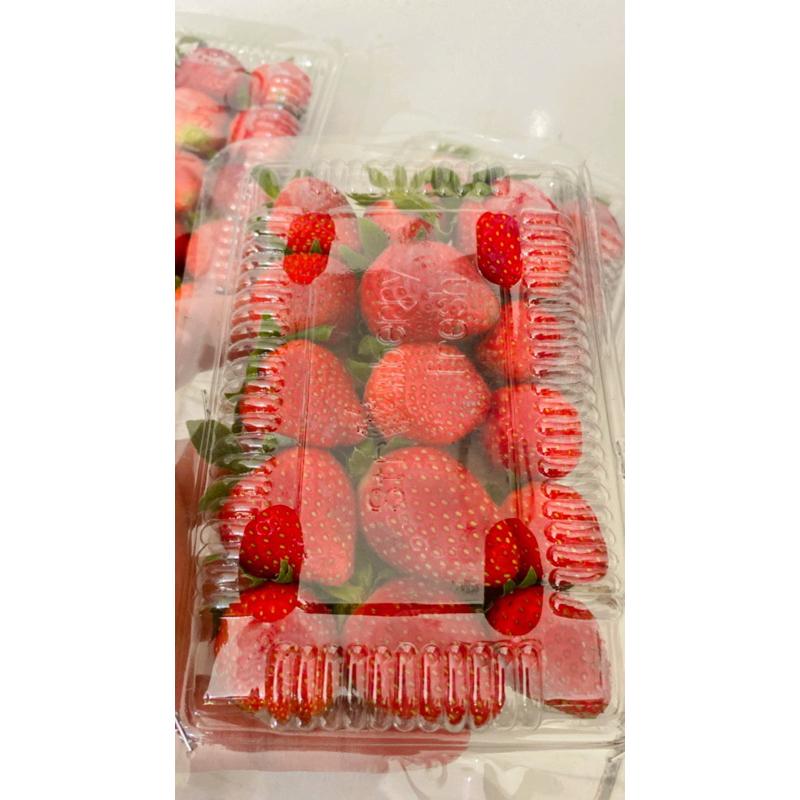 

Strawberry Bandung Organik