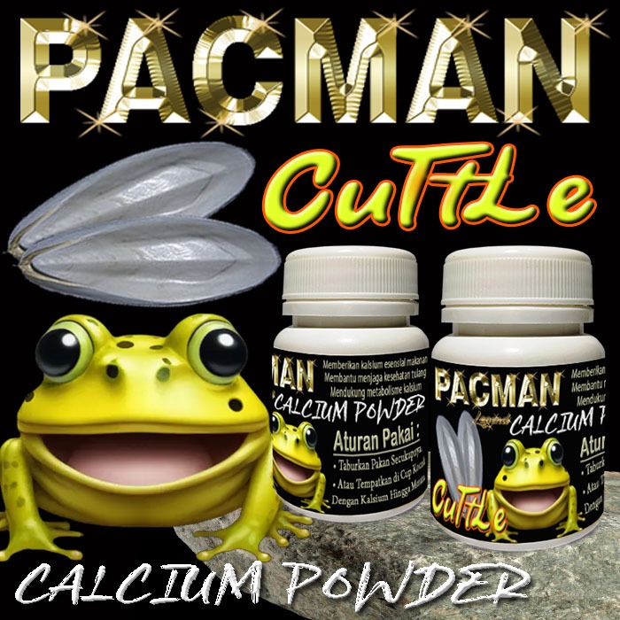PACMAN CUTTLE KALSIUM ALAMI KODOK KATAK AMPHIBI PACMAN FROG STRAWBERRY CERATOPHRYS CRANWELLI BUBUK T