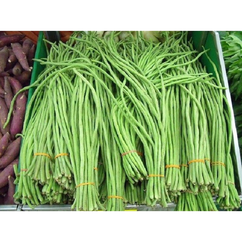 

Kacang Panjang Fresh 500 g